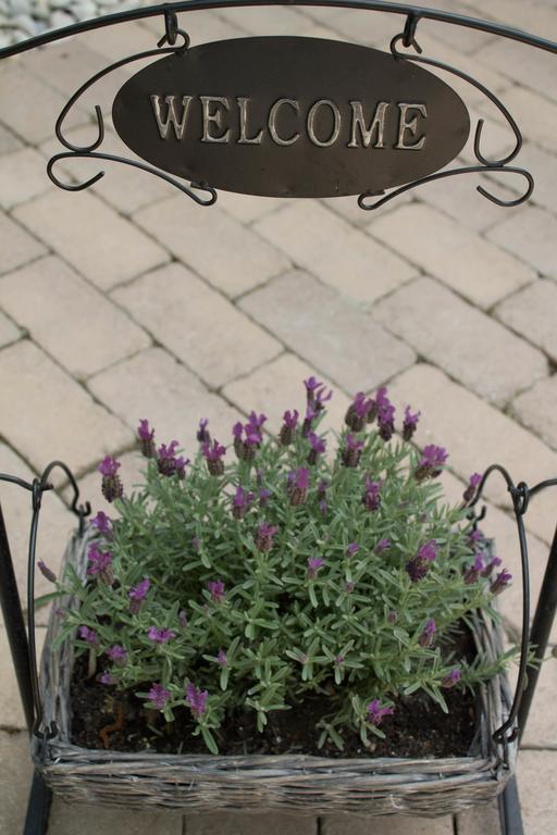 Silver Garden Шиофок Экстерьер фото